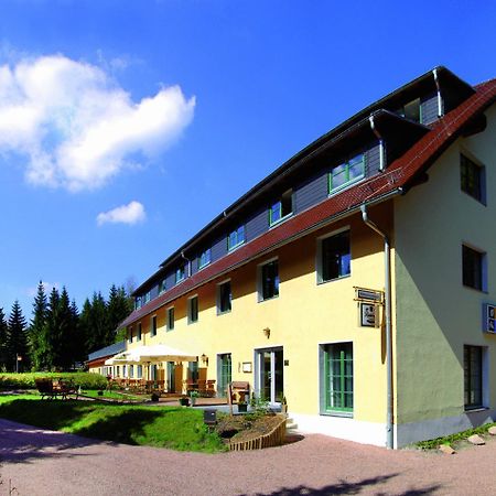 Waldhotel Am Aschergraben Geising Buitenkant foto