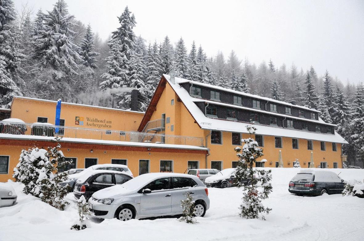 Waldhotel Am Aschergraben Geising Buitenkant foto