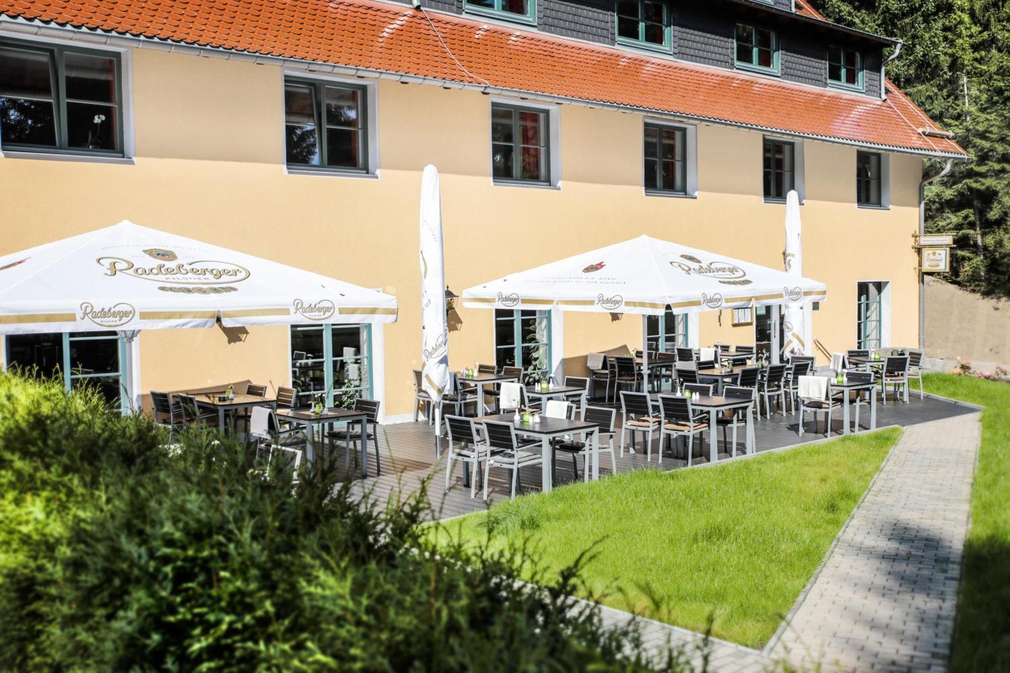 Waldhotel Am Aschergraben Geising Buitenkant foto